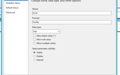 How to display a report parameter label field in a Microsoft Visual Studio Report