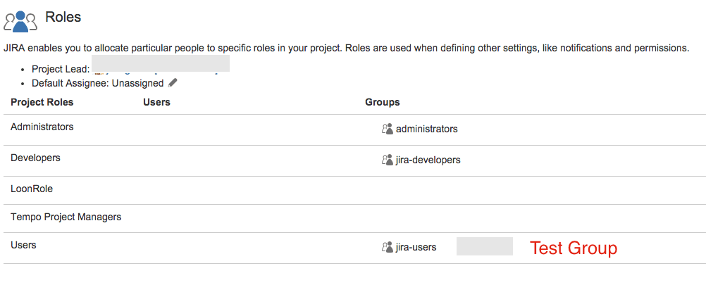 Add Single Project Group to JIRA Project Roles