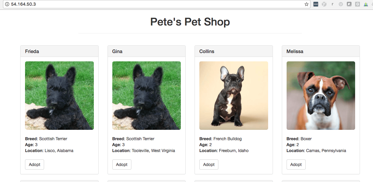 Ethereum Truffle Pet Shop on AWS EC2